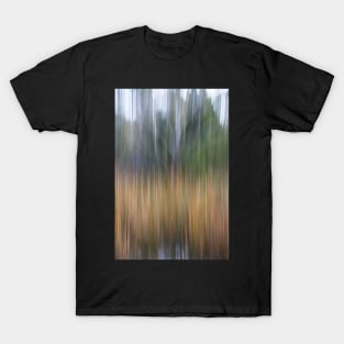 Vertical movement at pond T-Shirt